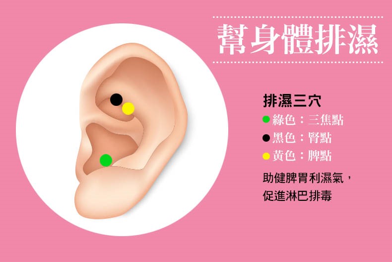 史上最懶減肥法,3天有感!中醫師黃獻銘教你「耳朵瘦身穴道」,排濕消腫、降低食慾
