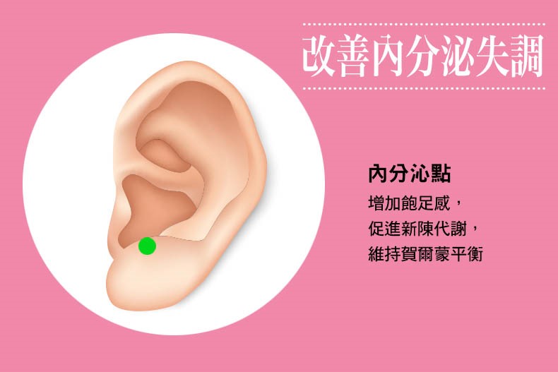 史上最懶減肥法,3天有感!中醫師黃獻銘教你「耳朵瘦身穴道」,排濕消腫、降低食慾