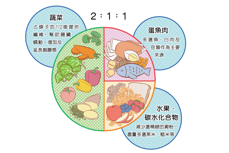 少吃卻發胖，小心你是「壓力胖」！陳欣湄醫師親授「微低碳211餐盤」吃飽飽、輕鬆瘦