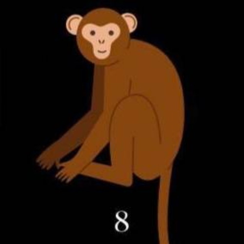 你在別人眼裡有什麼不為人知的印象？選一個動物來看看自己是不是隱藏著某些特殊才能