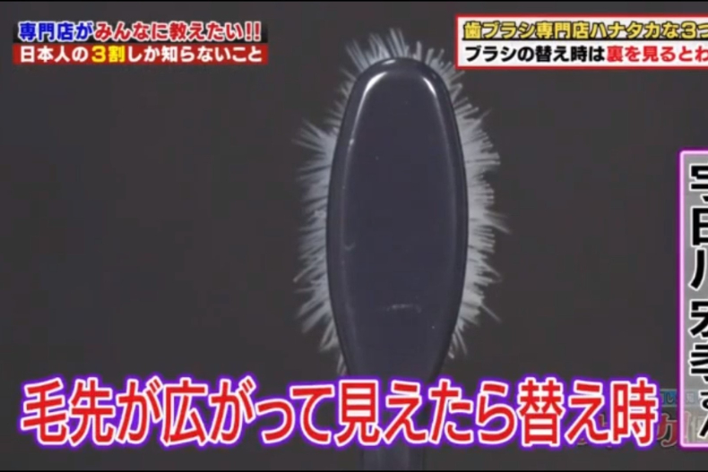 牙刷寬度、長短有關係！日本專家傳授「KO牙縫汙垢牙刷」這樣挑，多久換一次看刷毛就知道