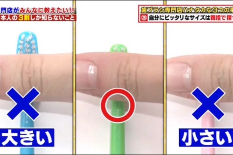 牙刷寬度、長短有關係！日本專家傳授「KO牙縫汙垢牙刷」這樣挑，多久換一次看刷毛就知道