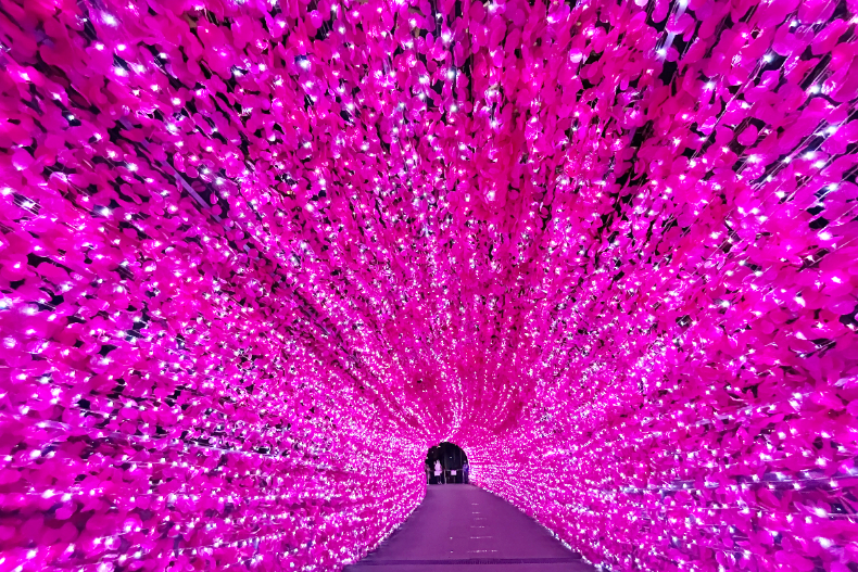 「2021新北耶誕城」12大絕美打卡指南：粉嫩夢幻春櫻光廊、香檳金花海、可愛聖誕老人