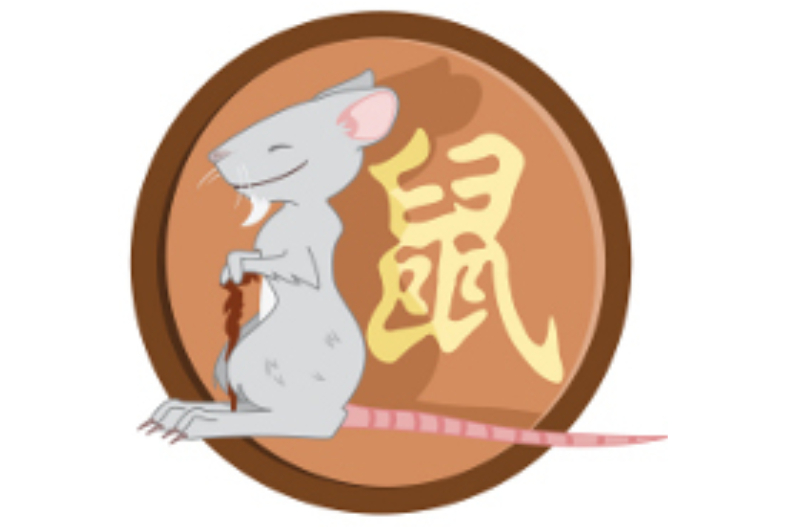 屬 - 屬.jpg ▲生肖鼠
