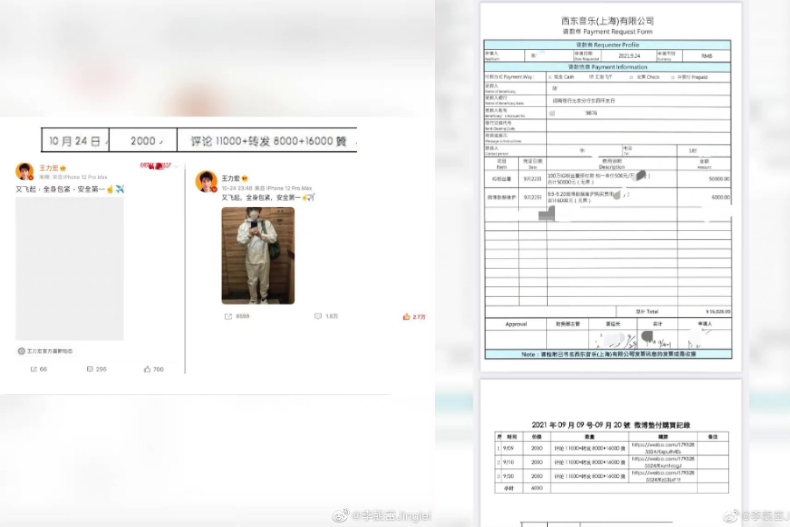 快訊／李靚蕾曝「王力宏買網軍」６證據正面開槓！痛批：做錯事無悔意還想轉移焦點