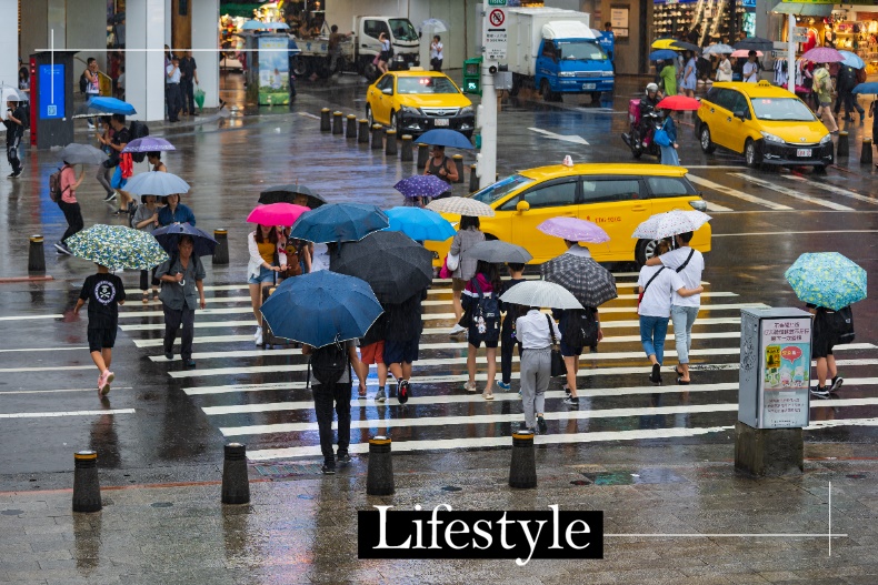 天天下雨好潮濕!居家5大地雷超容易長黴菌,專家親授「除濕、防霉、除霉」實用妙招