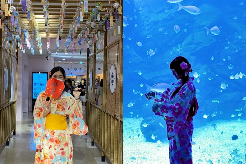 穿浴衣美拍風鈴廊道！「日本風情涼夏祭」吃祭典美食漫遊水族館，可愛企鵝冰菓室必玩