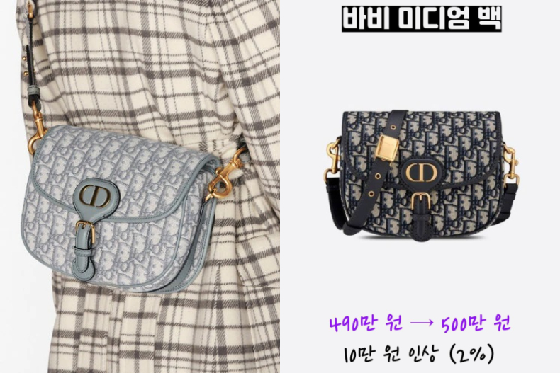 ▲中碼 DIOR BOBBY 手袋，NT.115,000