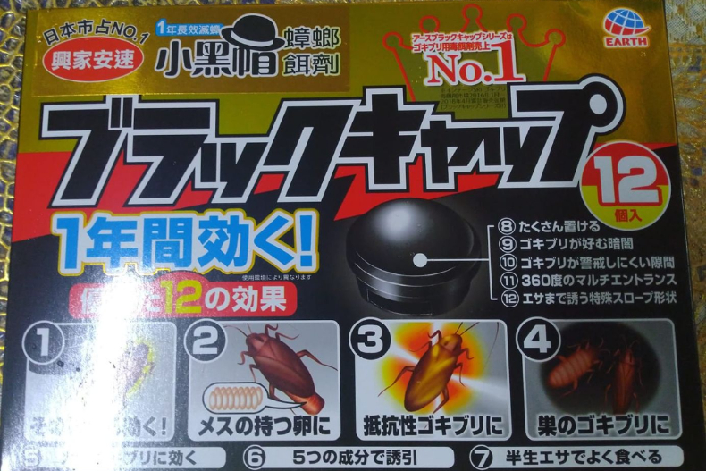 咖啡渣先別丟!全聯、家樂福「9大除蟲好物」蟑螂果蠅都不放過,這3樣免花錢也能驅蟲