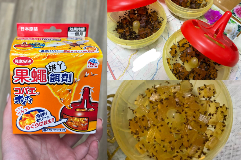 咖啡渣先別丟!全聯、家樂福「9大除蟲好物」蟑螂果蠅都不放過,這3樣免花錢也能驅蟲
