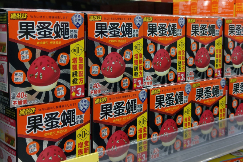 咖啡渣先別丟!全聯、家樂福「9大除蟲好物」蟑螂果蠅都不放過,這3樣免花錢也能驅蟲