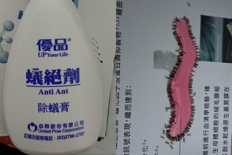 咖啡渣先別丟!全聯、家樂福「9大除蟲好物」蟑螂果蠅都不放過,這3樣免花錢也能驅蟲