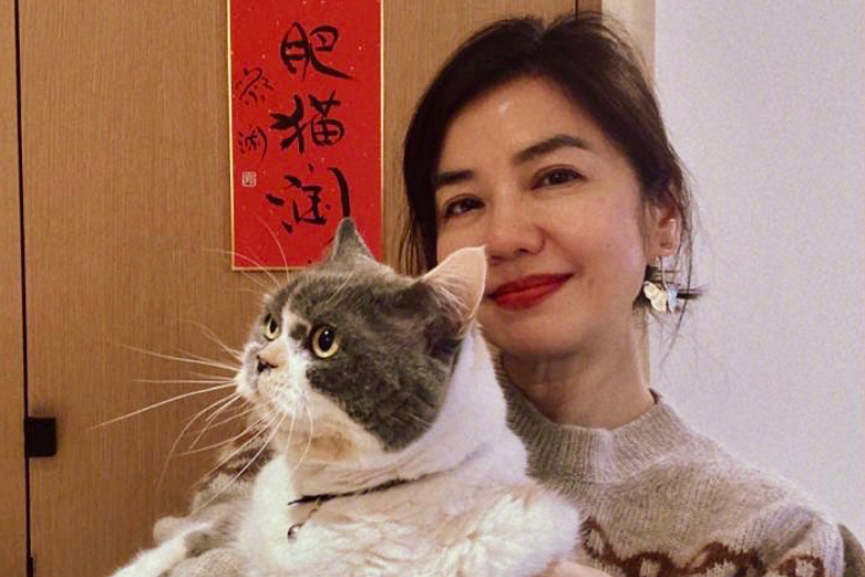 FotoJet (7) - FotoJet (7).jpg 復出引讚嘆!62歲鍾楚紅濃密秀髮惹人羨,實行30年的保養4秘訣