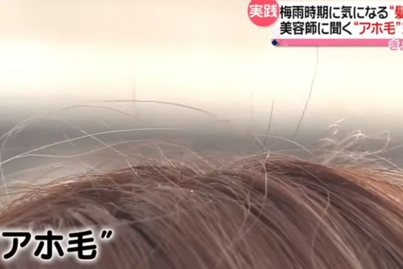 頭頂「呆毛」怎麼解？日本髮型師2招搞定！吹乾後「一動作」超重要，小雜毛不再亂翹