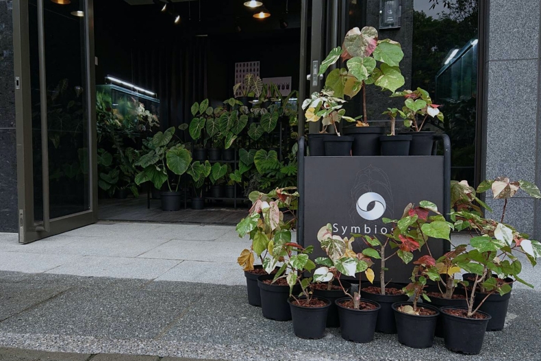 全台8家療癒系植物店推薦：台北「有肉」南歐街景、台中「酉」圓弧玻璃溫室