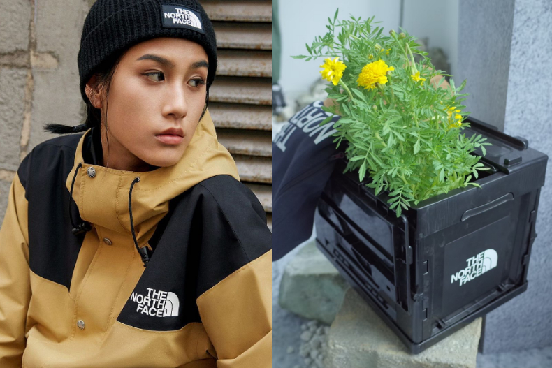 雙11服飾優惠懶人包！UNIQLO、北臉「網路下單」最省錢，GU這天結帳抽「整單免費」