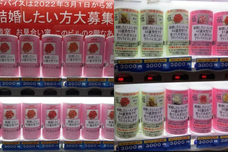 ▲只要投入1000元日幣，就能與婚姻仲介公司取得聯繫