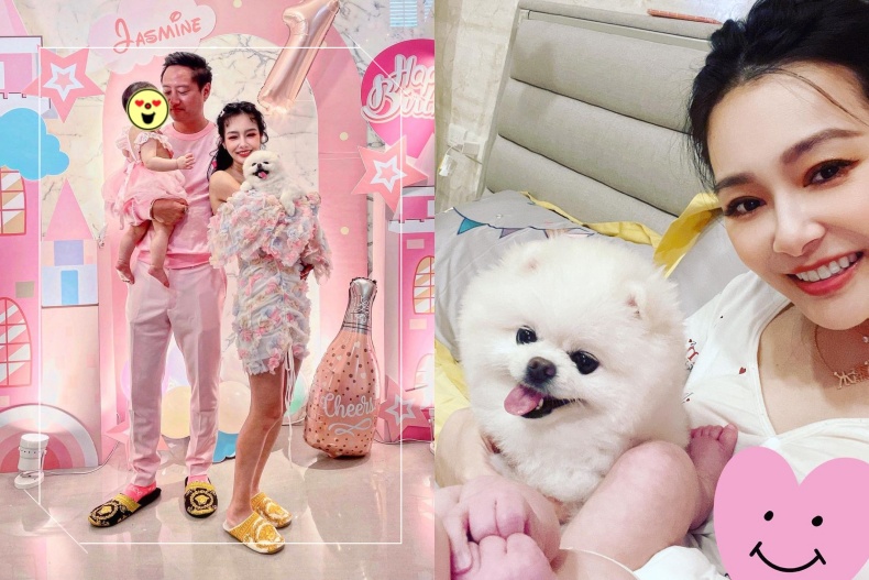 王思佳把毛小孩寵成公主!訂製禮服、腳不落地!連腳掌肉墊都有專用保養油|頂級之夜