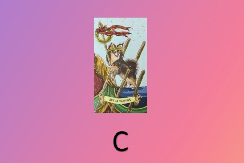 FotoJet - 2023-03-17T165552.981 - FotoJet - 2023-03-17T165552.981.jpg ▲選C的人