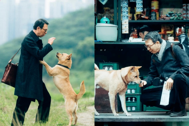 3 - 3.jpg ▲《忠犬八公》