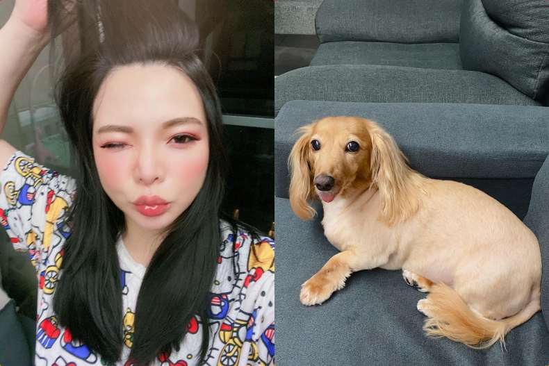 小甜甜虐狗說謊？承認「剪刀傷愛犬」自曝低潮期：想結束一切離開