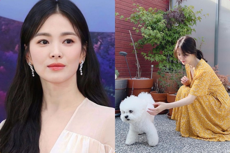 2023韓國10位最具影響力演員：宋慧喬、盧允瑞上榜，這部韓劇獲獎最多！
