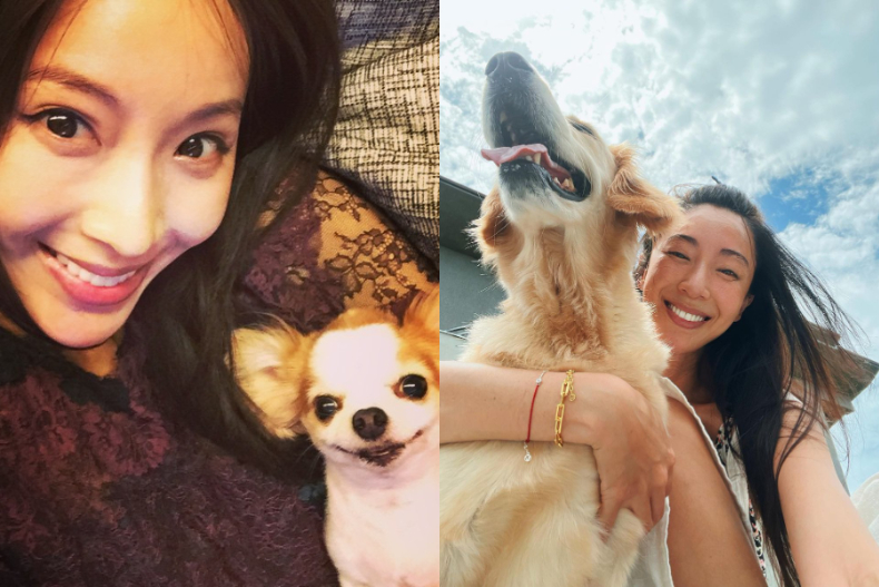 Jisoo豪送11萬Dior慶愛犬生日！「寵毛小孩無極限」的4星座：羅志祥讓狗狗隨意進出愛馬仕房