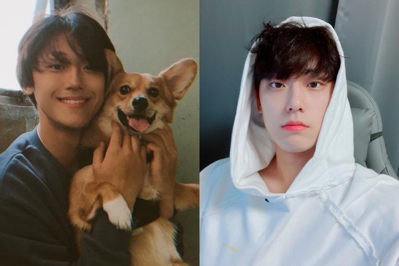 8位狗狗相韓國男星盤點！李到晛、朴寶劍萌度破表，這位還跟愛犬撞臉