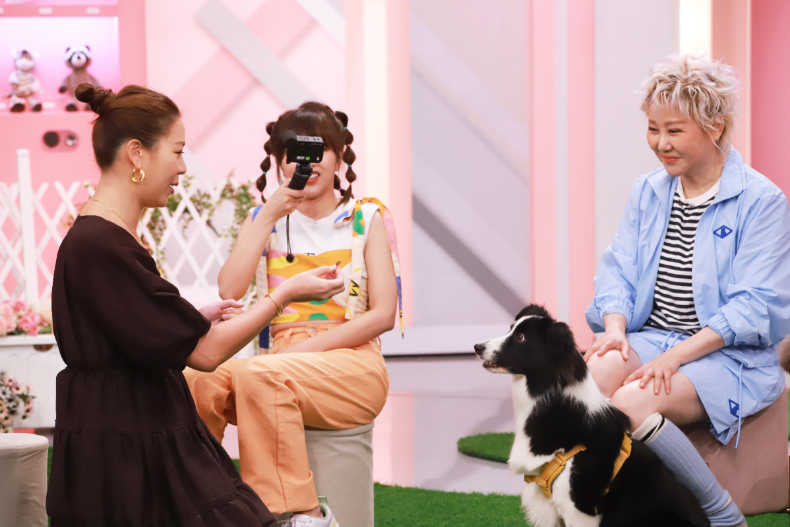 ▲林又立介紹Bella/邊境牧羊犬/四歲半女孩，現場示範才藝技能：坐下、握手、後退