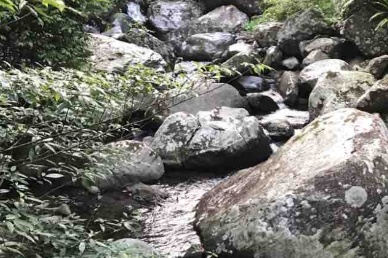 暑假不知道去哪裡玩？必去的10個台灣秘境景點：荷蘭古道超好拍，「這裡」是日本本土以外僅存神社