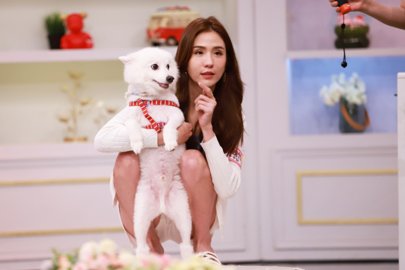 ▲歡迎主人潘映竹與水瓶座10歲日本狐狸犬男孩多多綠～
