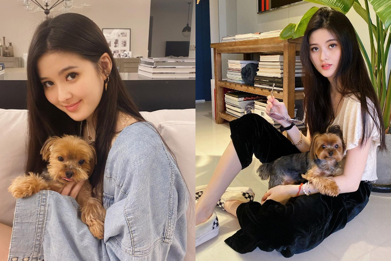 孫芸芸提「愛馬仕鱷魚皮柏金包、10萬LV包」裝愛犬！IG曬照洩「超奢華小狗日常」，網喊：命真好
