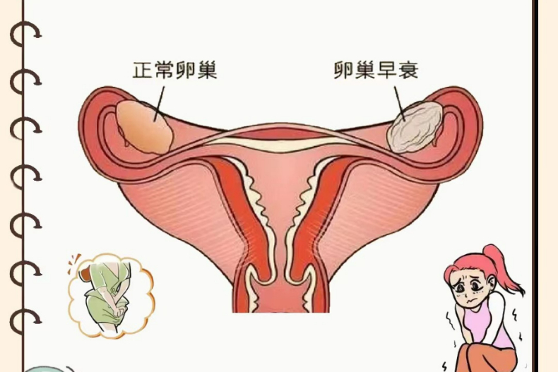 女性健康警報！卵巢早衰5徵兆，月經不再準時、情緒不穩定，還會造成「1風險」