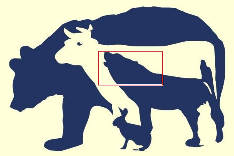 2222222 - 2222222.jpg 超神準測驗!第一眼看到哪種動物測出你真實性格,選「這動物」時常讓人看不透你
