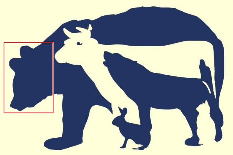 11111111 - 11111111.jpg 超神準測驗!第一眼看到哪種動物測出你真實性格,選「這動物」時常讓人看不透你