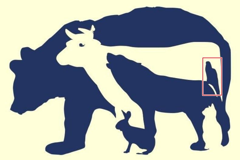 33333333 - 33333333.jpg 超神準測驗!第一眼看到哪種動物測出你真實性格,選「這動物」時常讓人看不透你