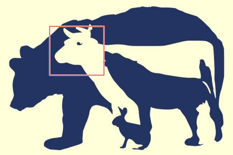 555555555 - 555555555.jpg 超神準測驗!第一眼看到哪種動物測出你真實性格,選「這動物」時常讓人看不透你