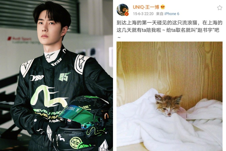 陸劇明星寵物大賞！肖戰愛貓跟主人一樣顏值高，這位家裡根本像是開寵物店