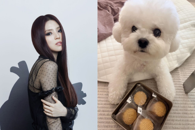 逆生長美貌！宋慧喬「白T＋牛仔褲」自拍少女感噴發，混搭百萬珠寶美到韓韶禧朝聖留言