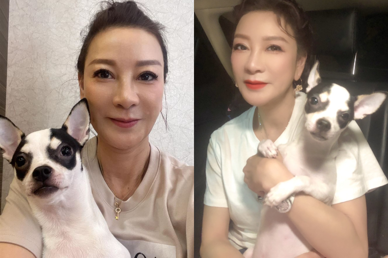 專訪／「怕吉娃娃，當什麼男人！」楊繡惠愛犬「堅強」命名故事感人，愛毛孩成為擇偶條件