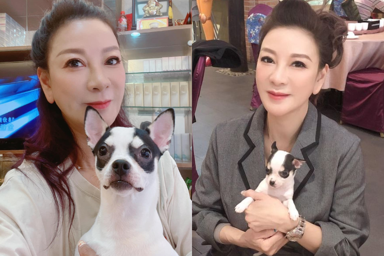 專訪／「怕吉娃娃，當什麼男人！」楊繡惠愛犬「堅強」命名故事感人，愛毛孩成為擇偶條件