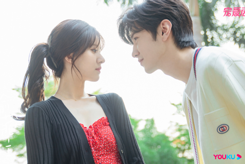 近三年Netflix陸劇熱播排行Top2.《偷偷藏不住》