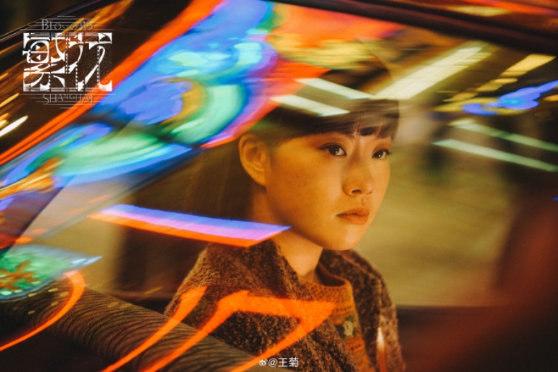 陸劇《繁花》隱藏美女6：王菊