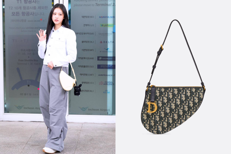 Dior Saddle Shoulder Pouch