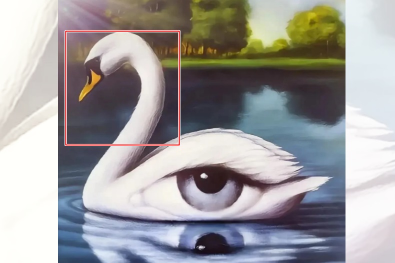 22222 - 22222.jpg 圖像心理測驗!第一眼看到什麼測出你命中自帶什麼好福氣?
