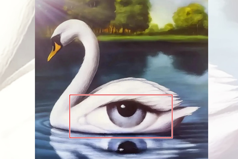 33333 - 33333.jpg 圖像心理測驗!第一眼看到什麼測出你命中自帶什麼好福氣?