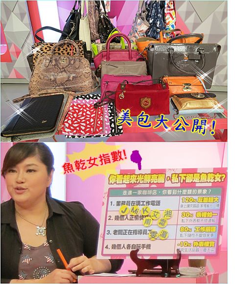 KEVIN老師介紹的美包【2013/11/15 大搜查! 女明星的包包驚人發現!?】